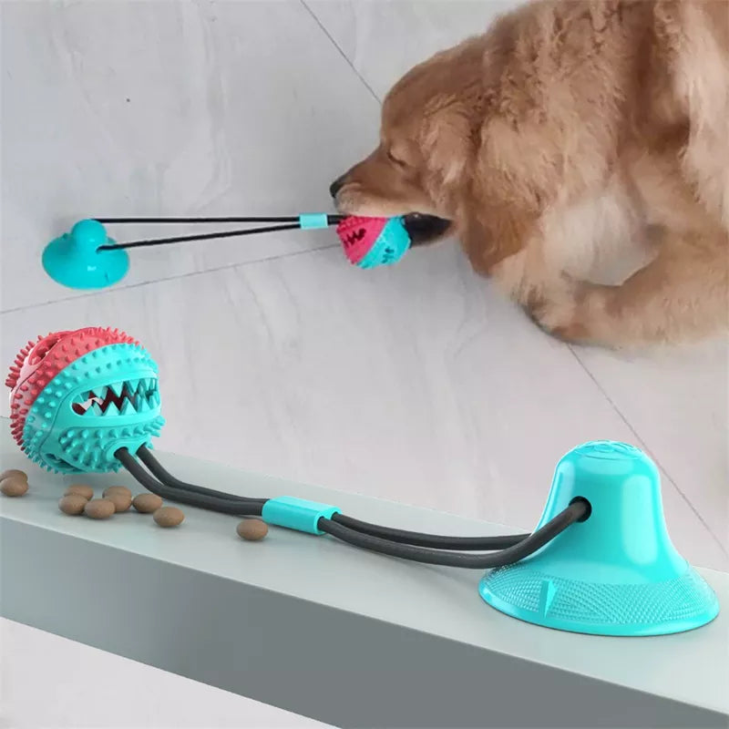 Playful Paws Silicon Suction Cup