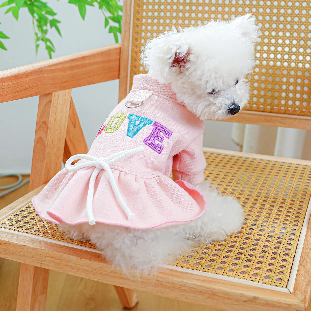 Cute Puppy Princess Dress