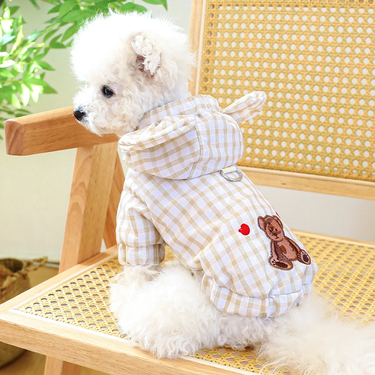 Thin Bear Summer Plaid Dog Coat