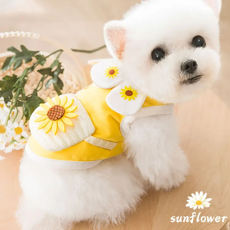 Cute Sunflower Dog Outfit