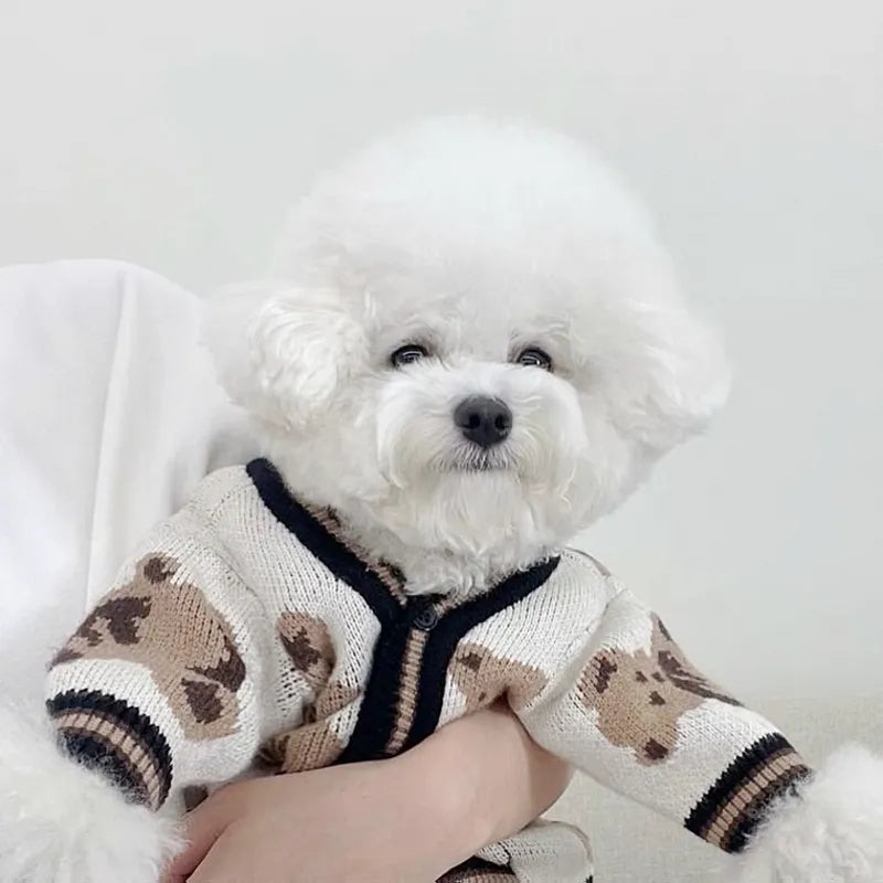 New Luxury Dog Outfit