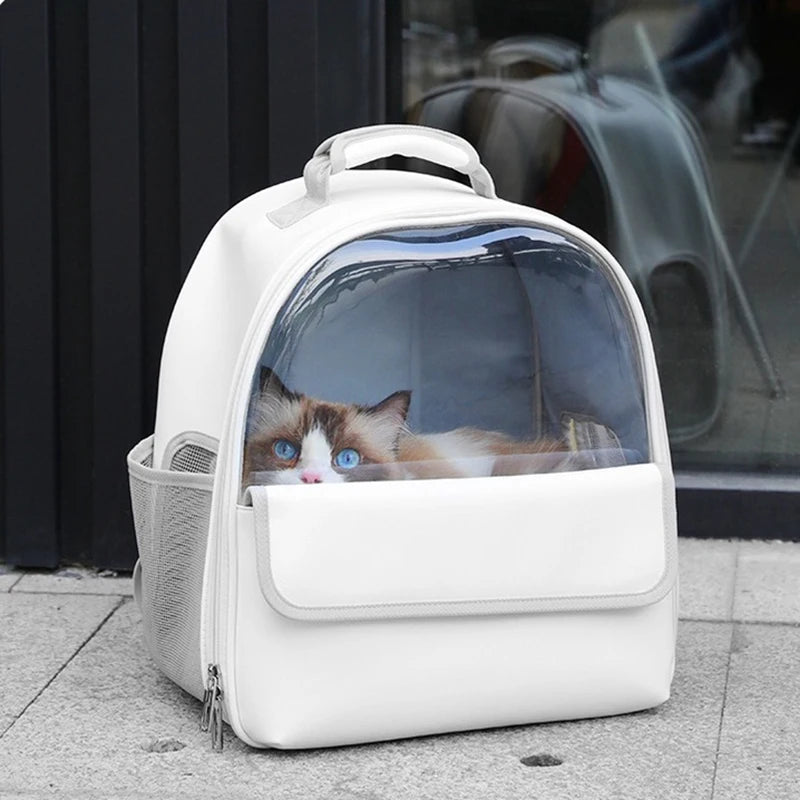 New Luxury Transparent Pet Carrier