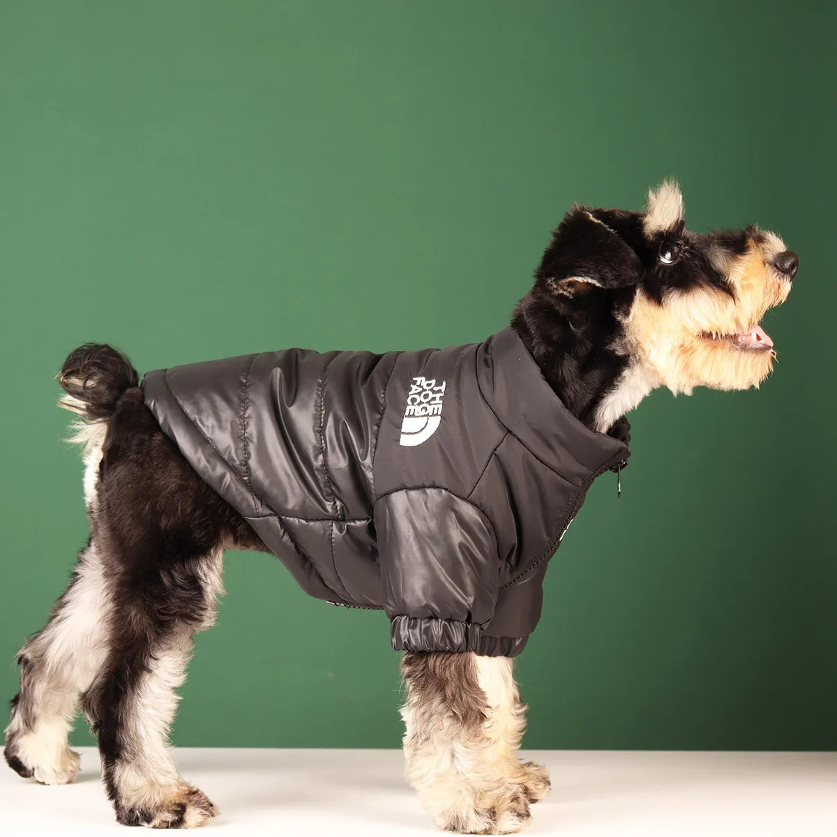 The Dogface Windproof Jacket