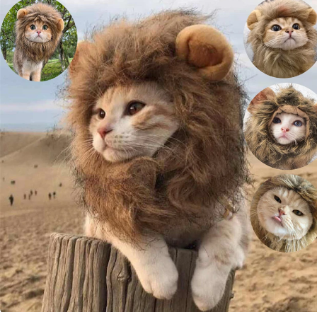 Baby Lion Cute Cat Costume