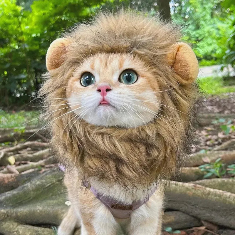 Baby Lion Cute Cat Costume