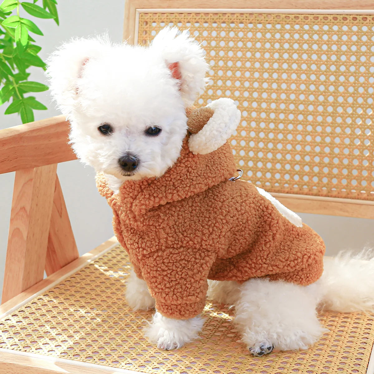 Warm Little Bear Outfit
