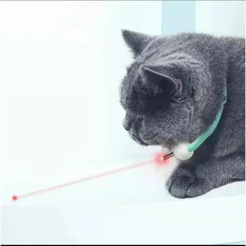 Laser Teasing Cat Collar Electric USB Charging Kitten Amusing Toys Interactive Training Pet Items Automatic Cat Toy
